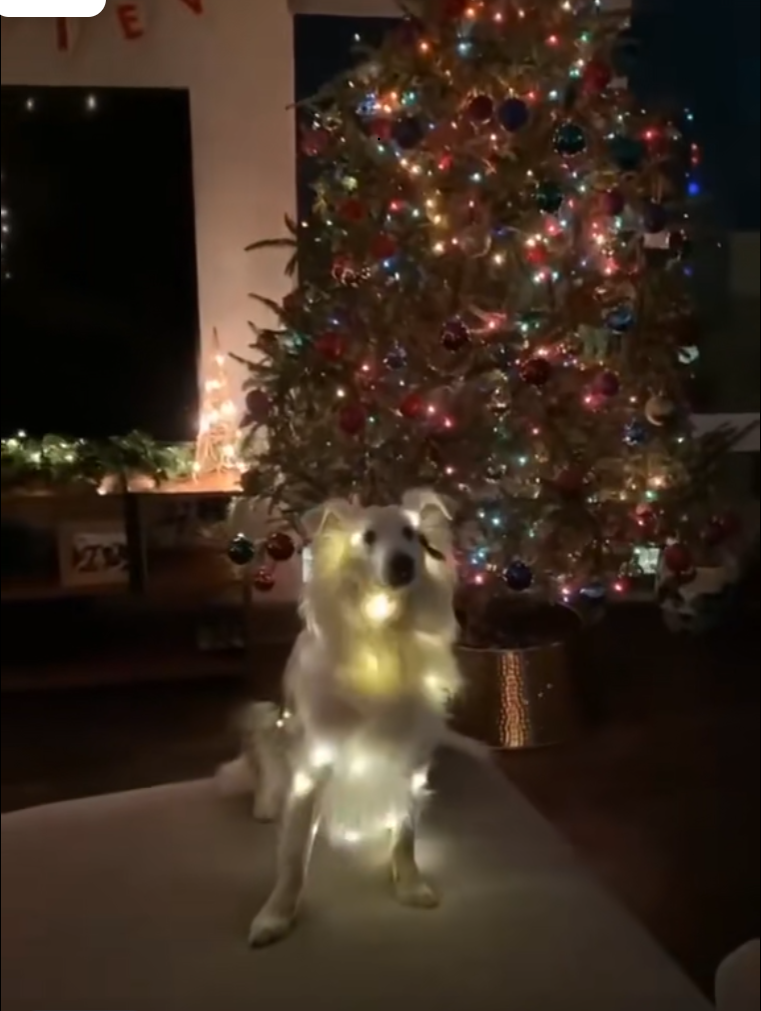 tiktok video thumbnail